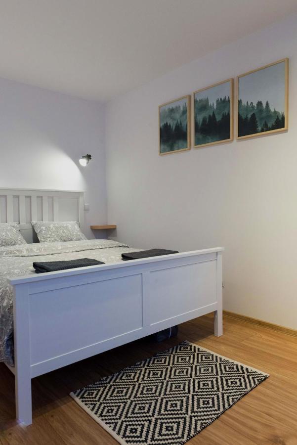 אוסטריצקי דולנה Apartament Szyszka מראה חיצוני תמונה