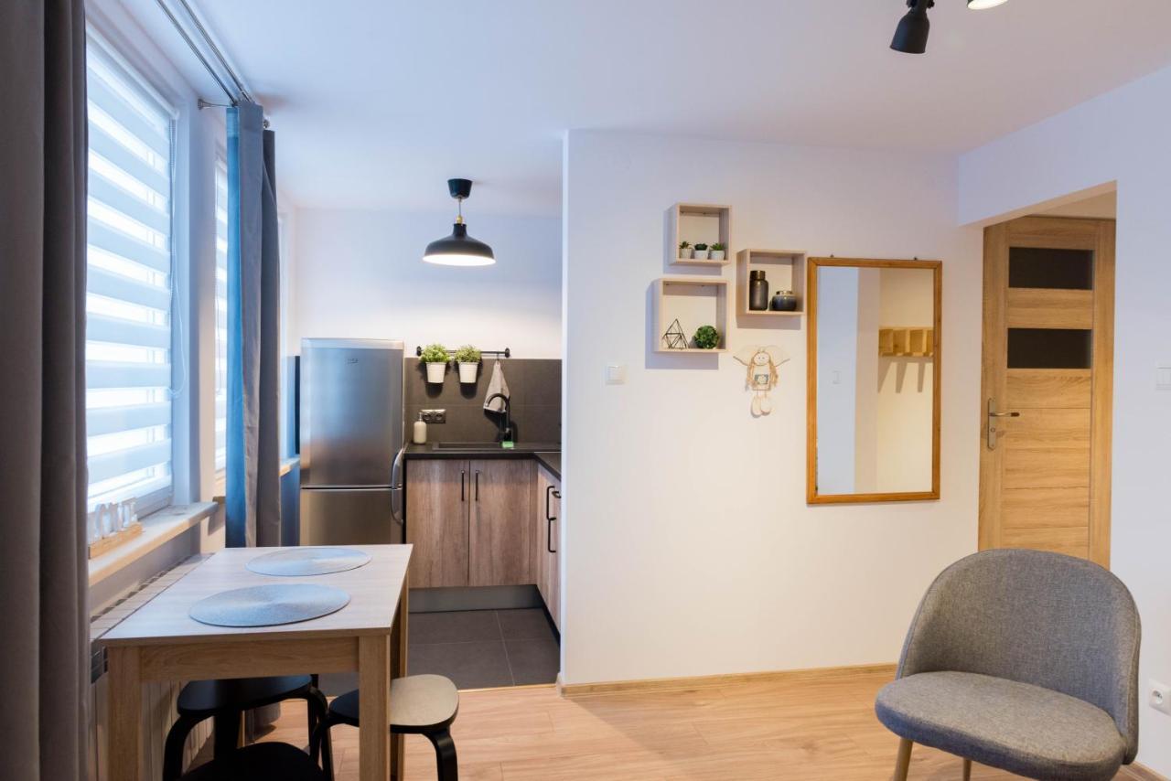 אוסטריצקי דולנה Apartament Szyszka מראה חיצוני תמונה